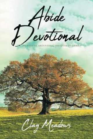 Knjiga Abide Devotional Clay Meadows