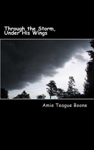 Kniha Through the Storm, Under His Wings: Our Journey Through Leukemia Amie Teague Boone