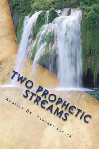 Knjiga Two Prophetic Streams: ''the Prophet and the Seer'' Apostle Vanzant Luster