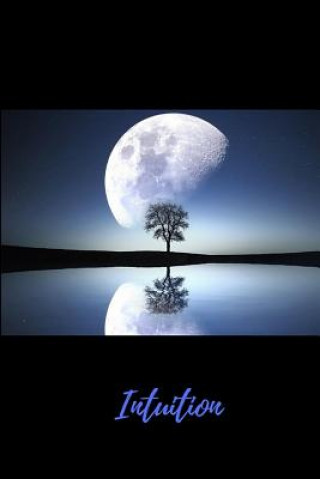 Boek Intuition Nicole Marie Williams