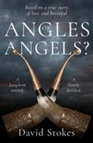 Kniha Angles or Angels? David Stokes