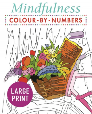 Książka Mindfulness Colour-by-Numbers Large Print PUBLISHING  ARCTURUS