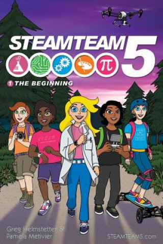 Kniha The Beginning: (steamteam 5 Main Series Book 1) Pamela Metivier