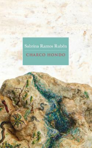 Książka Charco Hondo Ramos Rub