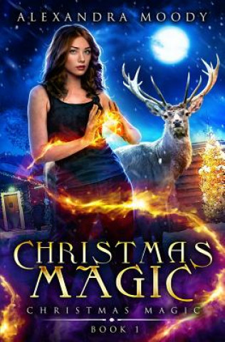 Kniha Christmas Magic Alexandra Moody