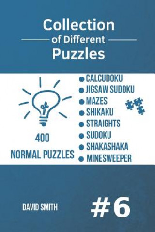 Könyv Collection of Different Puzzles - 400 Normal Puzzles David Smith