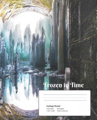 Knjiga Frozen in Time Michael J Henderson
