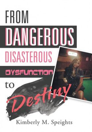Kniha From Dangerous, Disastrous Dysfunction to Destiny Kimberly M Speights