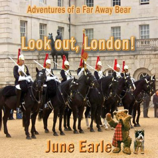 Könyv Adventures of a Far Away Bear June Earle