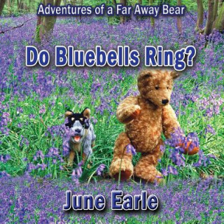 Carte Adventures of a Far Away Bear June Earle