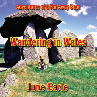 Könyv Adventures of a Far Away Bear June Earle