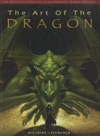 Kniha Art of the Dragon J David Spurlock