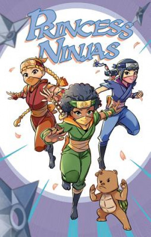 Książka Princess Ninjas Dave Franchini