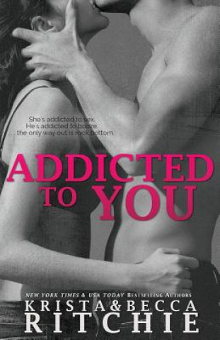 Carte Addicted to You KRISTA RITCHIE