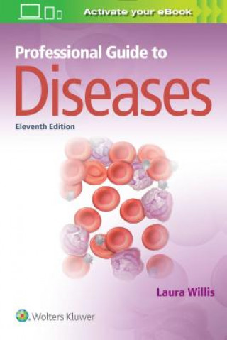 Kniha Professional Guide to Diseases Willis