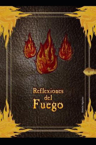 Buch Reflexiones del Fuego Simon Aquino