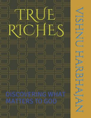 Kniha True Riches: Discovering What Matters to God Vishnu Mahadeo Harbhajan