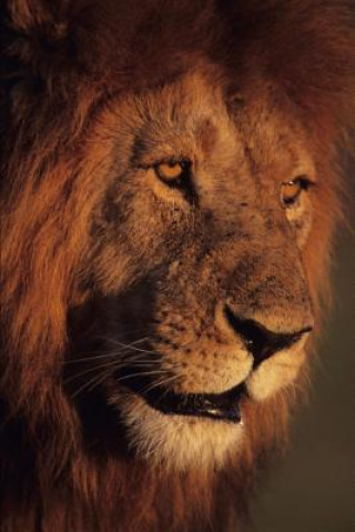 Libro My Life, Feelings, and Thoughts Breezy McDaniel