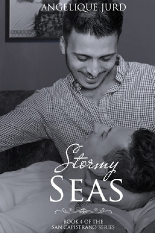 Knjiga Stormy Seas Angelique Jurd