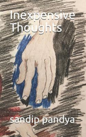 Knjiga Inexpensive Thoughts Sandip Pandya
