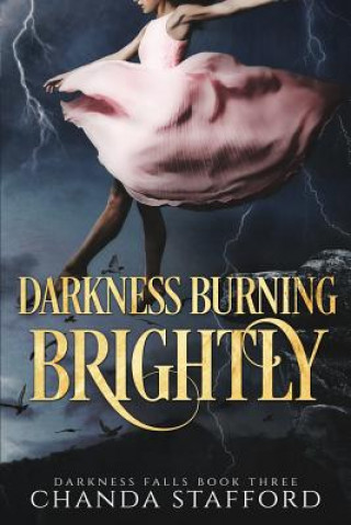 Book Darkness Burning Brightly Chanda Stafford