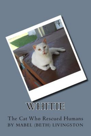 Buch Whitie -- The Cat Who Rescued Humans: Whitie Mabel Elizabeth Livingston