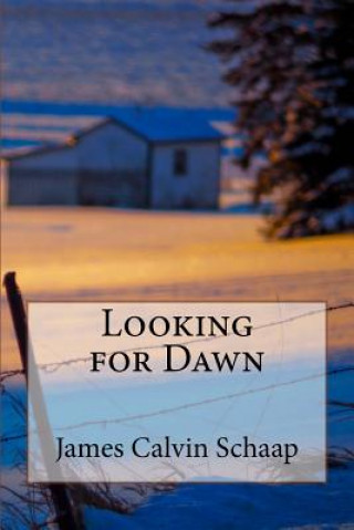 Kniha Looking for Dawn James Calvin Schaap