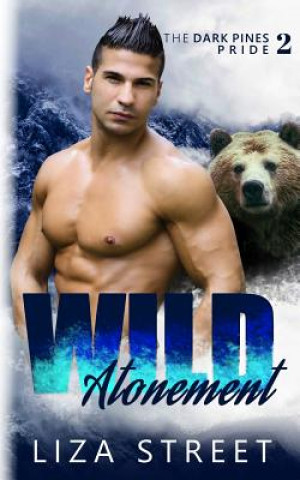 Boek Wild Atonement Liza Street