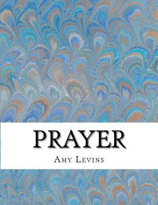 Boek Prayer Amy Levins