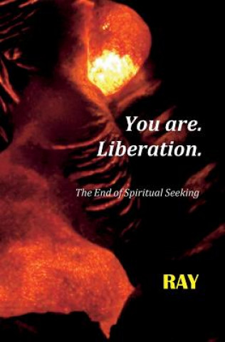 Kniha You are. Liberation.: The End of Spiritual Seeking Ray