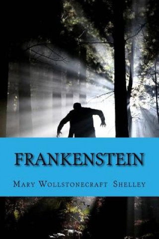 Buch Frankenstein: Or the Modern Prometheus Mary Wollstonecraft (Godwin) Shelley