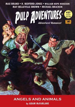 Book Pulp Adventures #27 Adam McFarlane