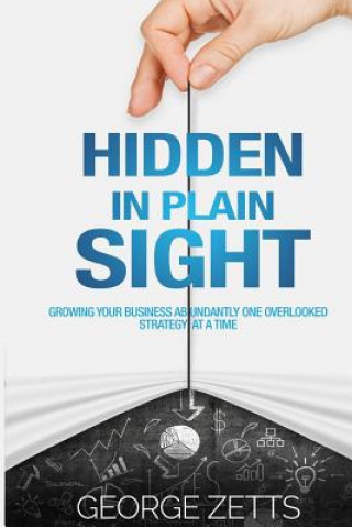 Carte Hidden in Plain Sight: Growing Your Business Abundantly One Overlooked Strategy at a Time George Zetts