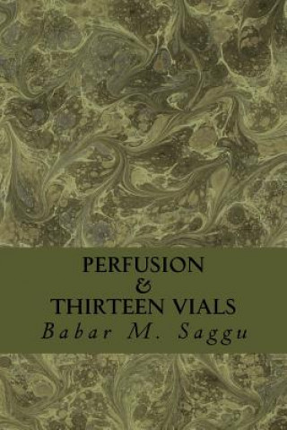 Knjiga Perfusion: Thirteen Vials Babar M Saggu