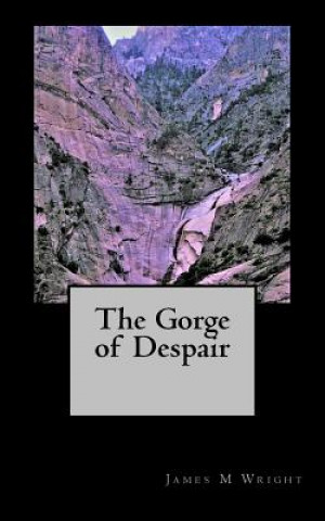 Книга The Gorge of Despair James M Wright