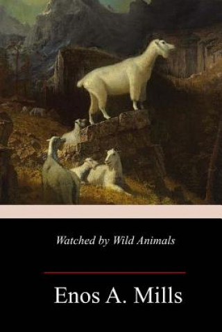 Kniha Watched by Wild Animals Enos A Mills