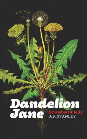 Libro Dandelion Jane: : Strawberry Jelly A R Stanley