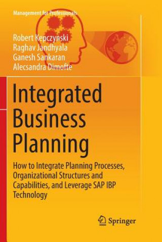 Kniha Integrated Business Planning Robert Kepczynski