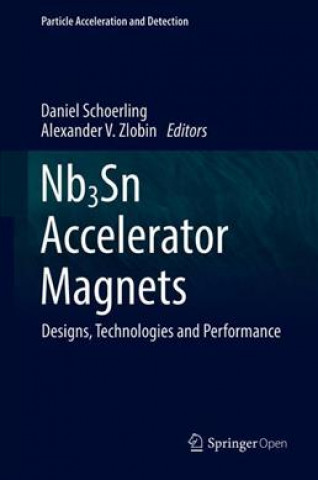 Kniha Nb3Sn Accelerator Magnets Daniel Schoerling