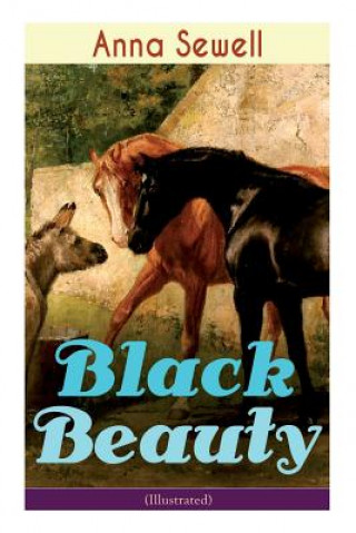 Kniha Black Beauty (Illustrated) Anna Sewell