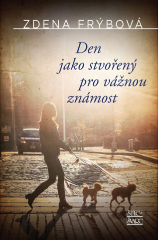 Buch Den jako stvořený pro vážnou známost Zdena Frýbová