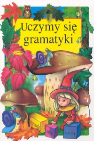 Kniha Uczymy się gramatyki Klimkiewicz Danuta