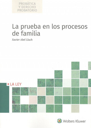 Книга PRUEBA EN LOS PROCESOS DE FAMILIA XAVIER ABEL LLUCH