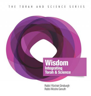 Knjiga Wisdom Yitzchak Ginsburgh