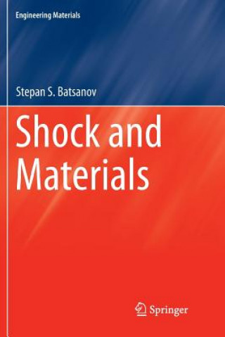 Boek Shock and Materials Stepan S Batsanov
