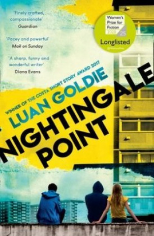 Buch Nightingale Point Luan Goldie