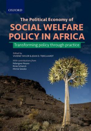 Kniha Political Economy of Social Welfare Policy in Africa Rinie Schenk