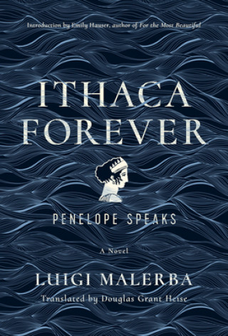 Kniha Ithaca Forever Luigi Malerba