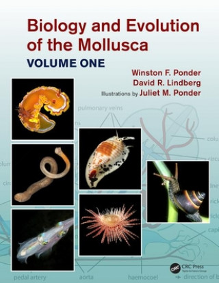 Kniha Biology and Evolution of the Mollusca, Volume 1 Winston Frank Ponder