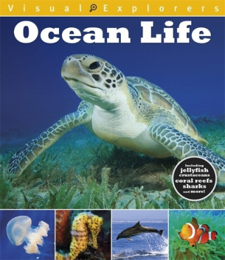 Kniha Visual Explorers: Ocean Life Paul Calver